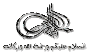 محاضرات لآية الله السيد صباح سيد علي شبر الحسيني (حفظه الله) - صفحة 2 833632